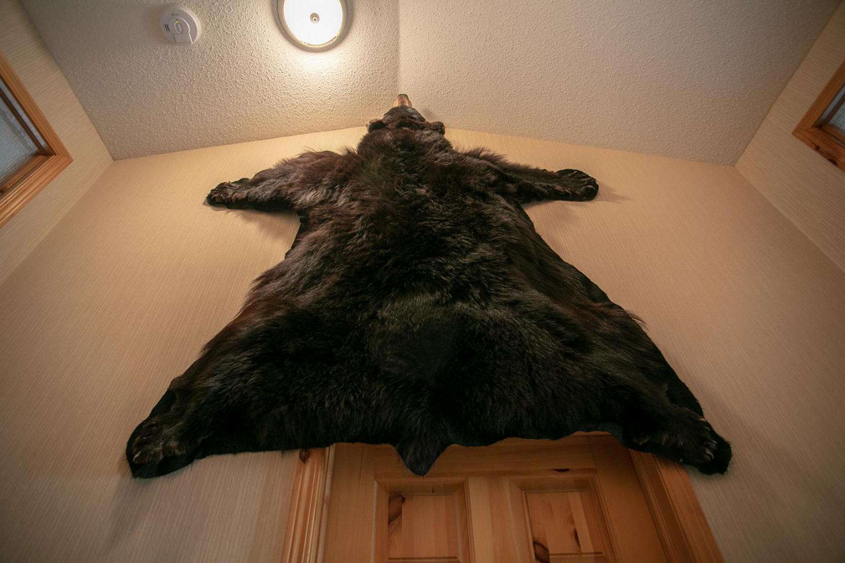 Banff Wood Lodge Canmore Buitenkant foto